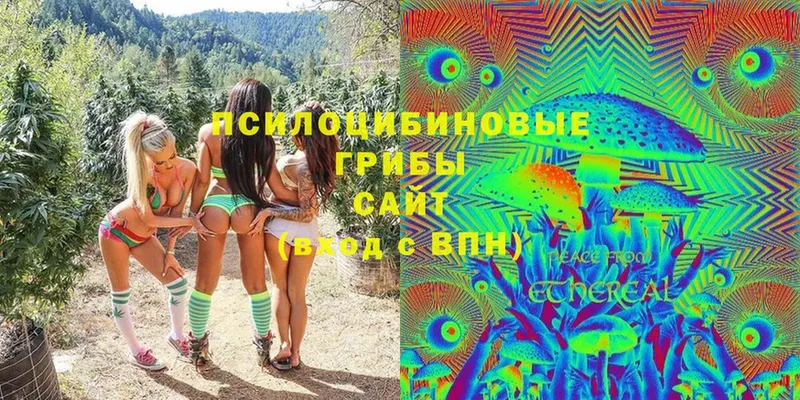 Галлюциногенные грибы MAGIC MUSHROOMS  Барыш 